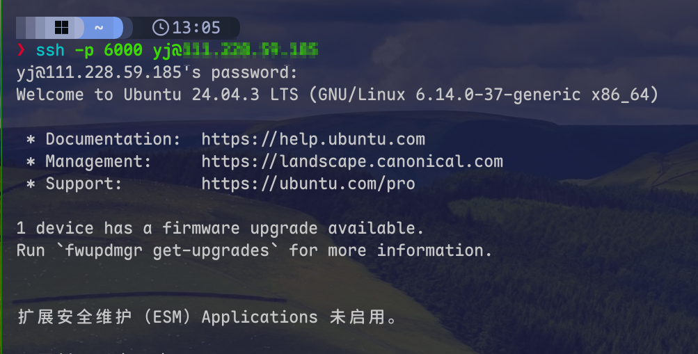 image-20260110130816728